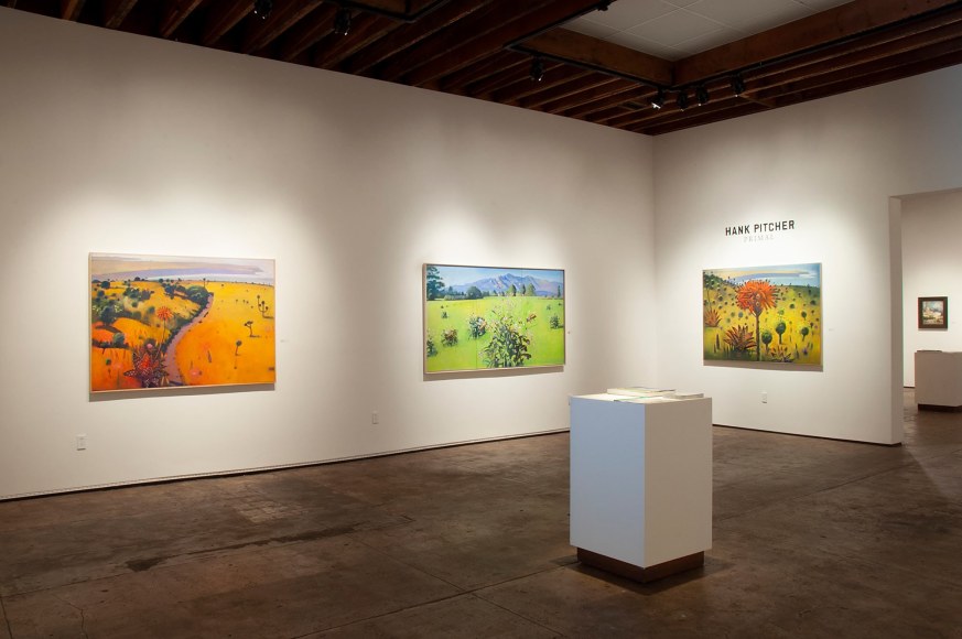 HANK PITCHER Primal installation shot