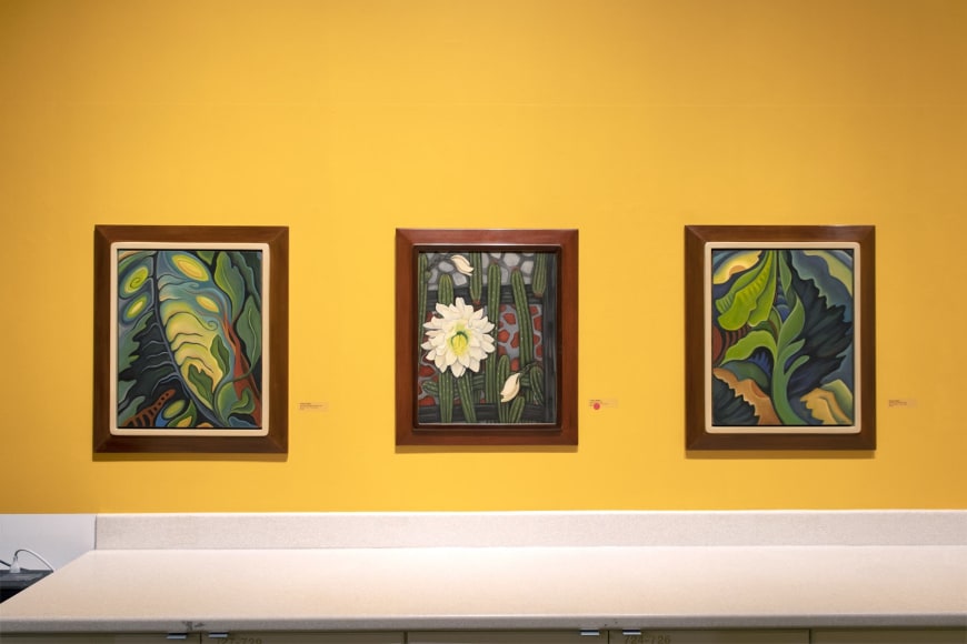 Installation photograph of ANGELA PERKO: The Place of Hidden Things, 2022