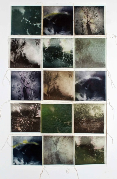 MONICA WIESBLOTT , Ruminations of Earth and Sky, 2023