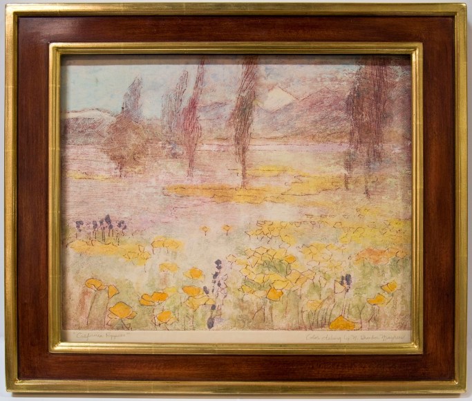 California Poppies, Nell Brooker Mayhew
