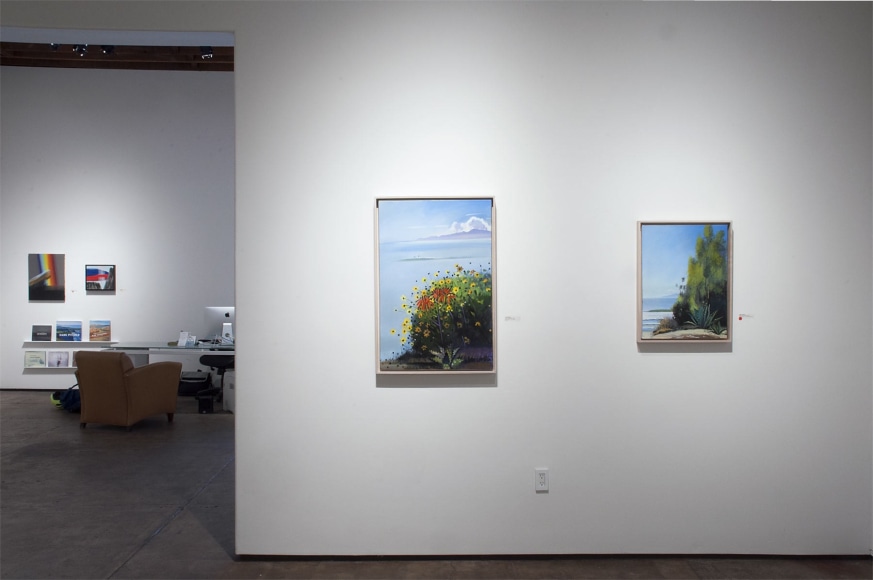 Installation photograph of HANK PITCHER: Just Now