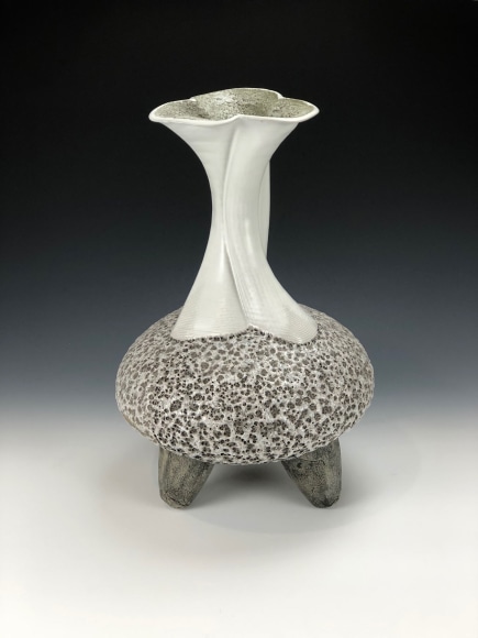 PATRICK HALL & LYNDA WEINMAN , Colab #3, 2021