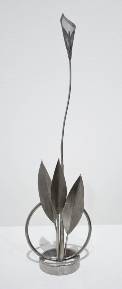 Ken Bortolazzo, Small Calla Lilies with Leaves, 2016