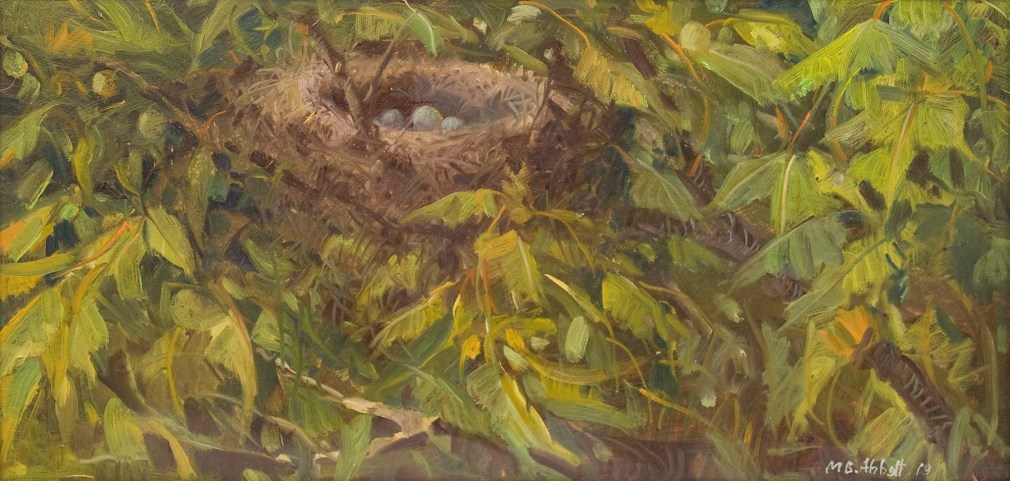 MEREDITH BROOKS ABBOTT, Nest in the Apricot Tree, 2019