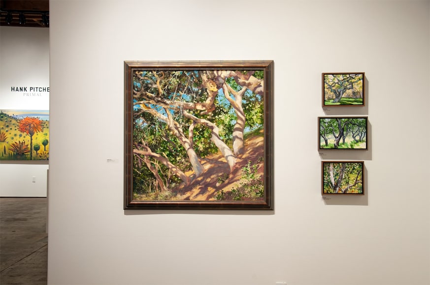 ROBIN GOWEN: New Winds installation photograph