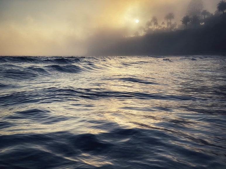 ANDREW THILL , Butterfly Beach, 2022