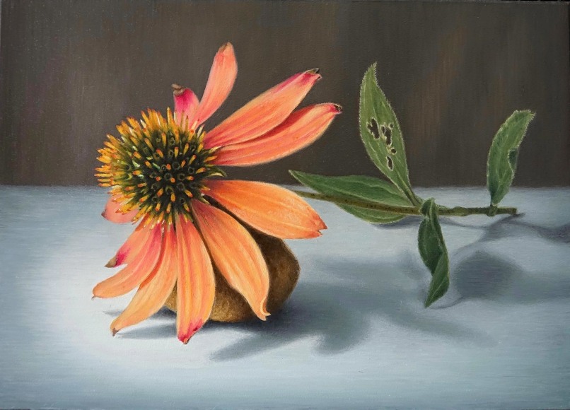 SUSAN MCDONNELL , Coneflower and Fossil, 2021