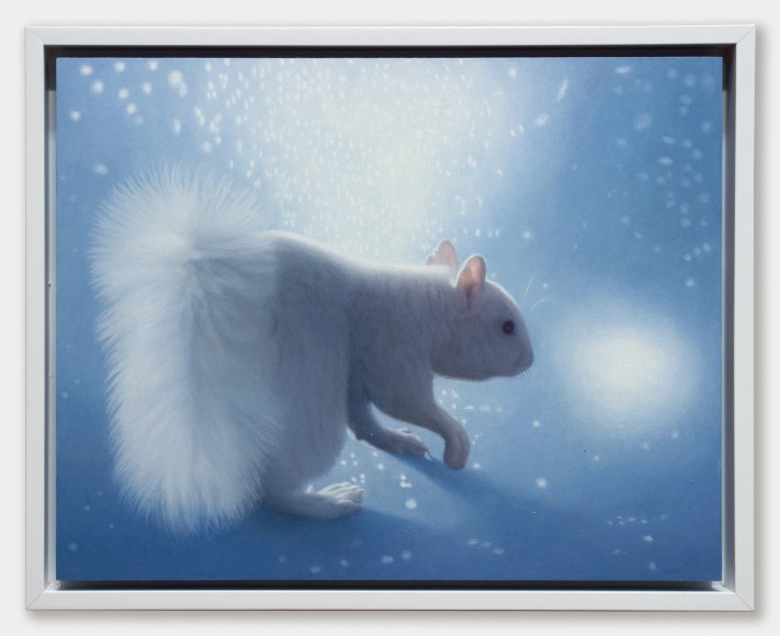 SUSAN MCDONNELL, Polar Squirrel, 2021