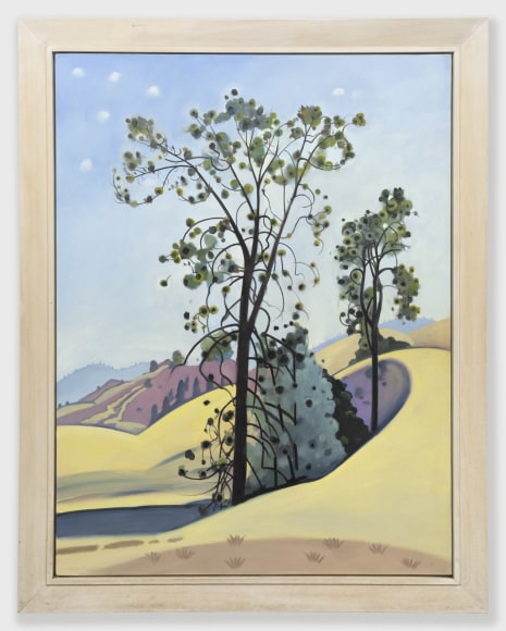 HANK PITCHER , Sedgwick, Digger Pine, 2007