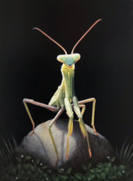 SUSAN MCDONNELL , Earthbound Alien, 2021