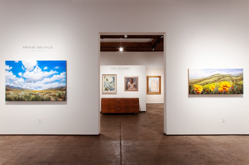 Installation photograph of PHOEBE BRUNNER: A Wild Delight with Coming Home and Hi Ho