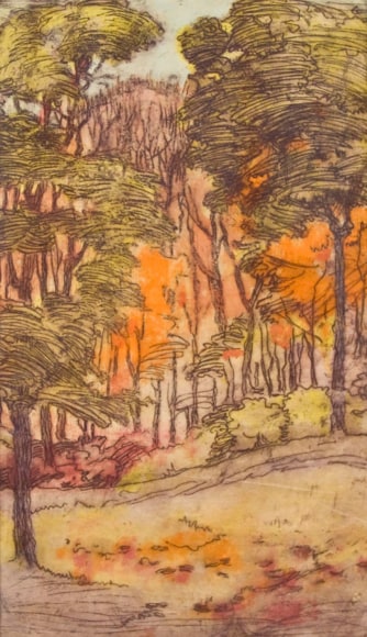 Nell Brooker Mayhew, Eucalyptus Grove, 1914