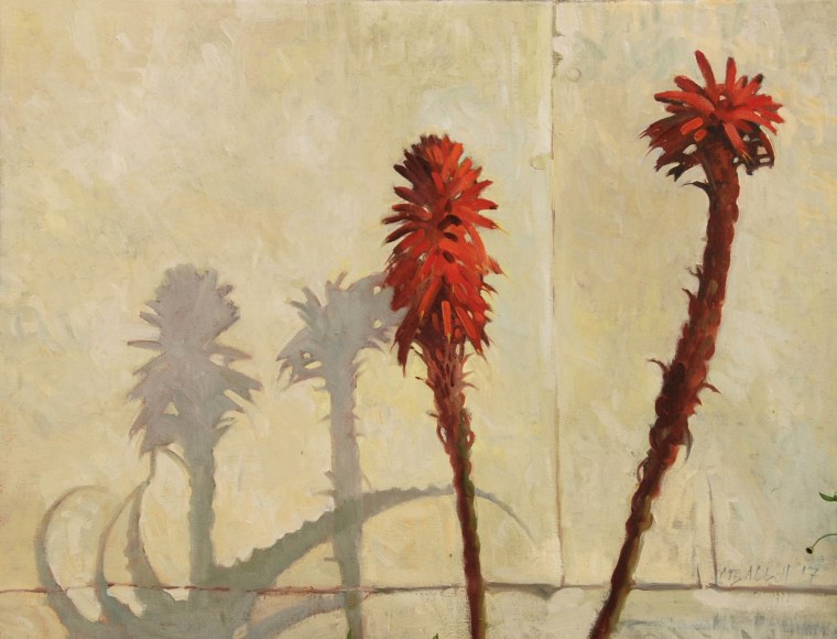 Meredith Brooks Abbott, Aloe, 2017