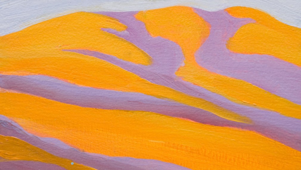 ROBIN GOWEN , A Run of Shadows