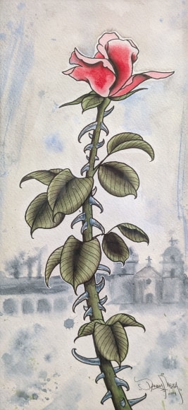 DANNY MEZA (1990 - 2025), Santa Barbara, 2014
