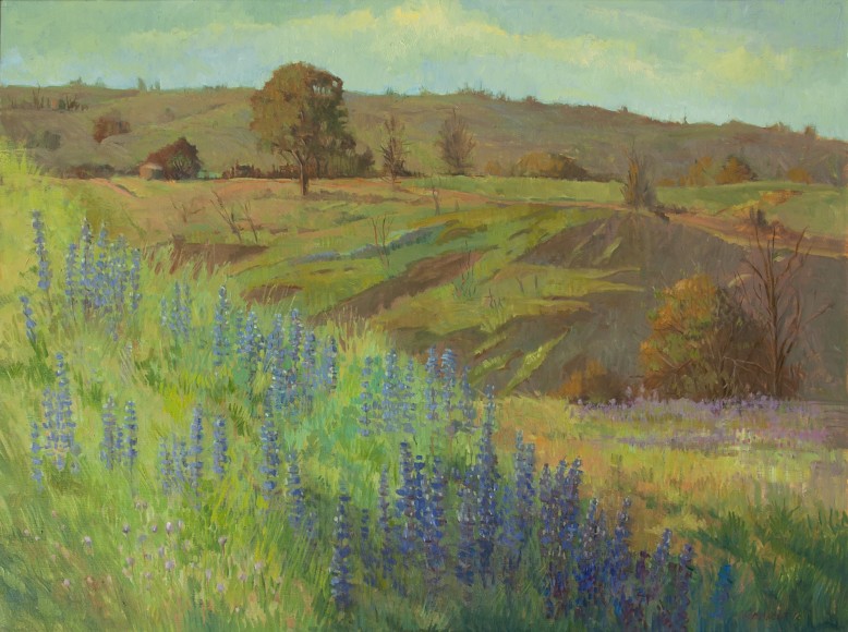 MEREDITH BROOKS ABBOTT , Lupine HIllside, 2018