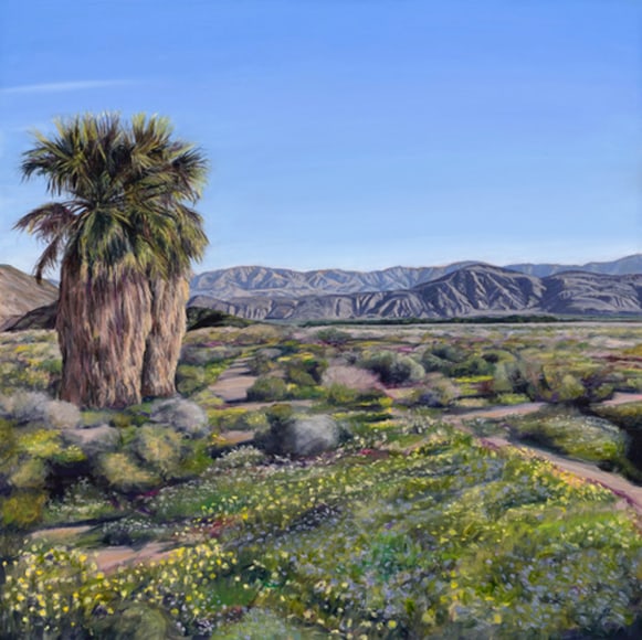 MARY-AUSTIN KLEIN , Anza Borrego Super Bloom,