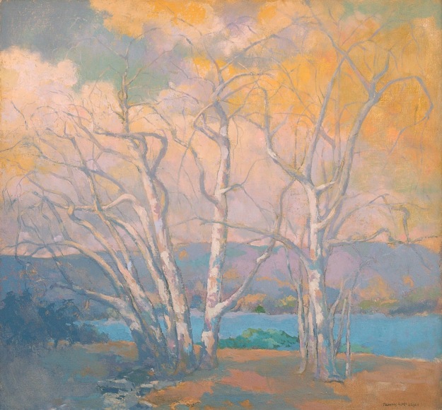 THOMAS MCGLYNN (1878-1966), Fall Sycamore, c. 1930s