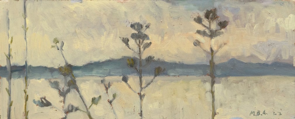 MEREDITH BROOKS ABBOTT , Spent Agaves, 2022