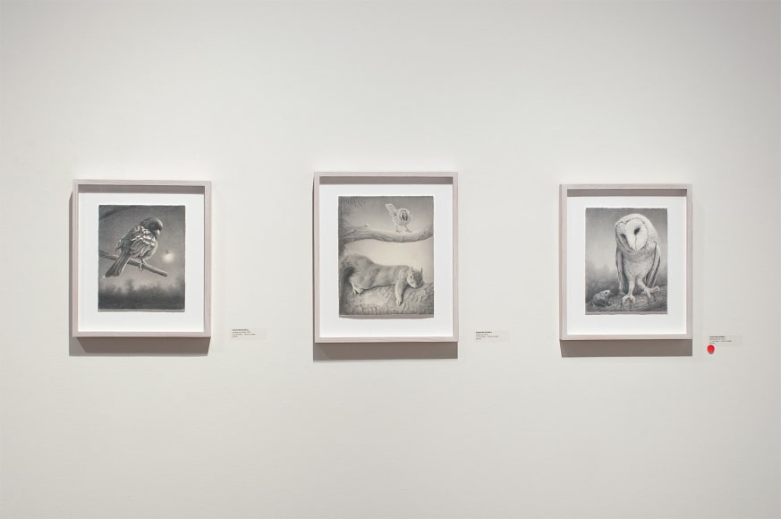 Installation photograph of SUSAN McDONNELL: A Quite Nature