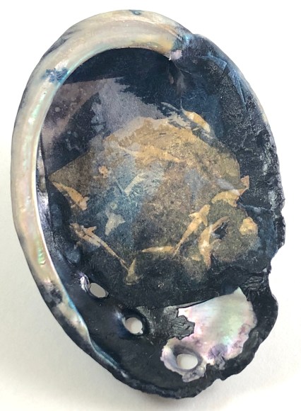 MONICA WIESBLOTT , Dreams of the Abalone, 2025