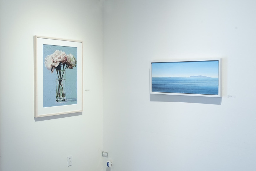 Installation photograph of JOHN NAVA: Florimar