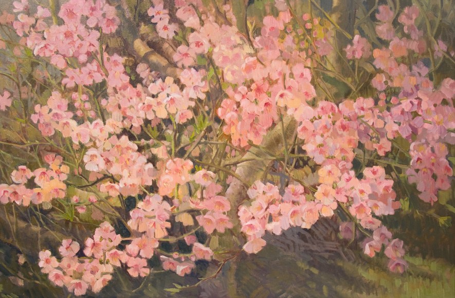 MEREDITH BROOKS ABBOTT, Stone Fruit Blossoms, 2019