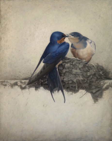 Susan McDonnell, Barn Swallows, 2018