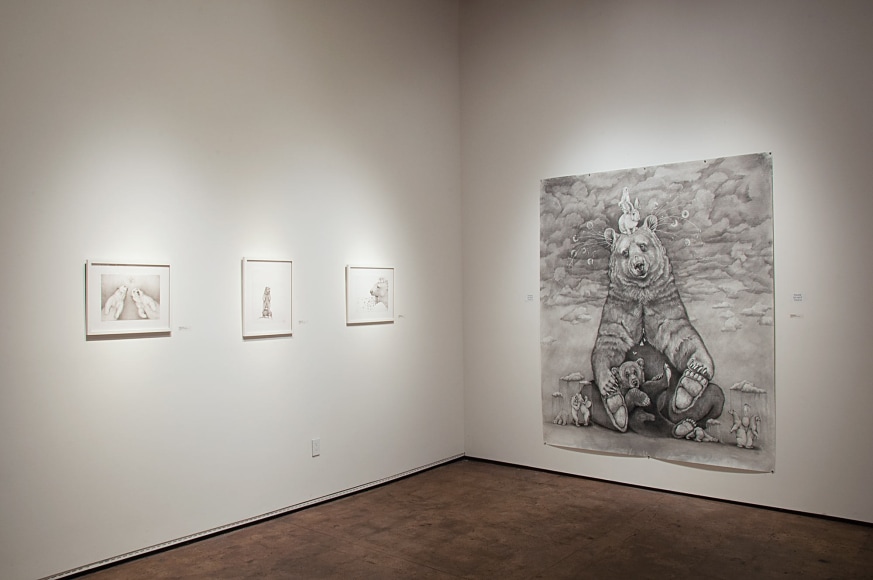 Contemporary Bear Area Artists Installation photograph, Adonna Khare