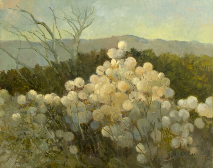 MEREDITH BROOKS ABBOTT , Snow White Foreground, 2022