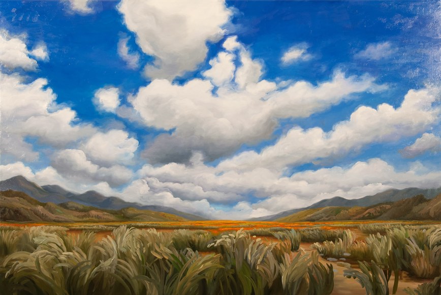 PHOEBE BRUNNER, Coming Home