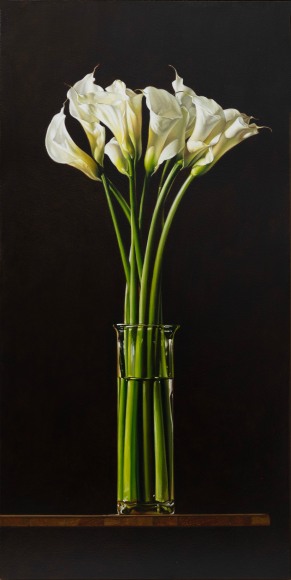 JOHN NAVA , Callas, 2025