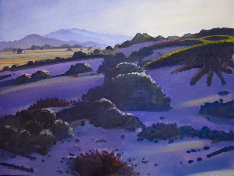 HANK PITCHER , Point Conception Sand Dunes - Morning, 2016