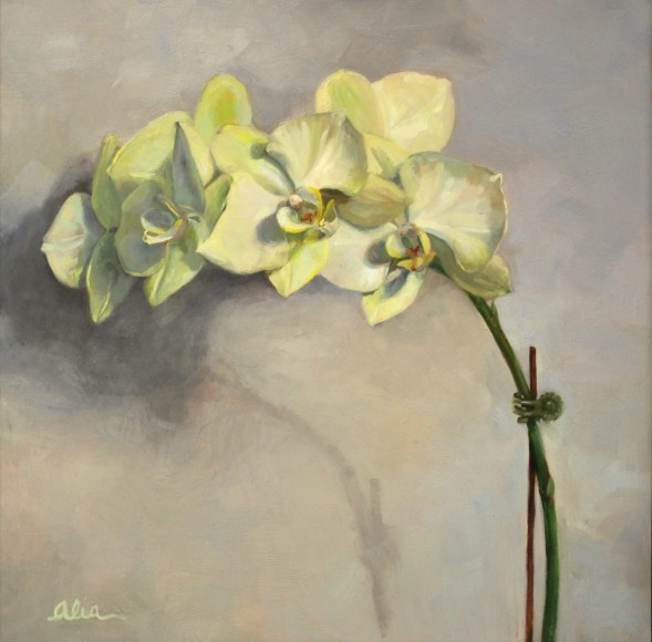 Alia El-Bermani, White Orchid, 2015