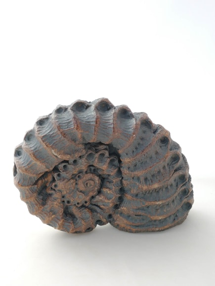 SCOTT CHATENEVER , Fibonacci, 2019