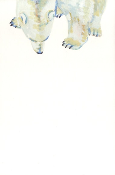 Nicole Strasburg, Nanuk 11, 2016