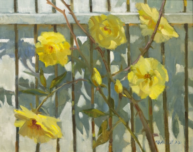 MEREDITH BROOKS ABBOTT , Yellow Roses White Fence, 2022