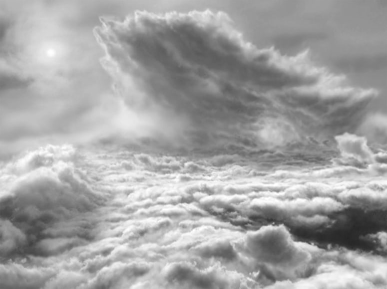 HILARY BRACE , Untitled, 2014