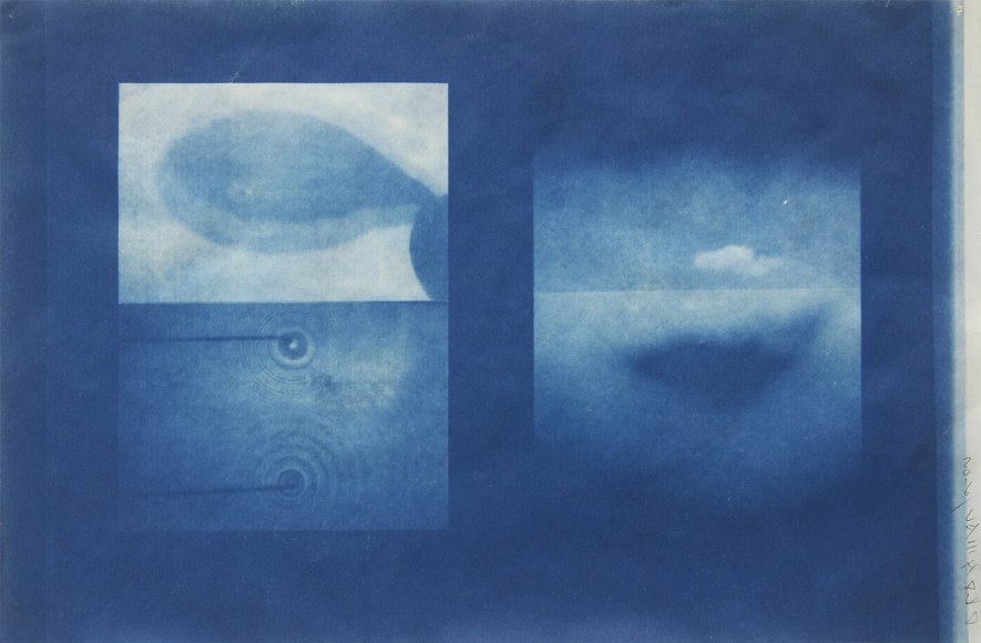 Dug Uyesaka, Cyanotype Study