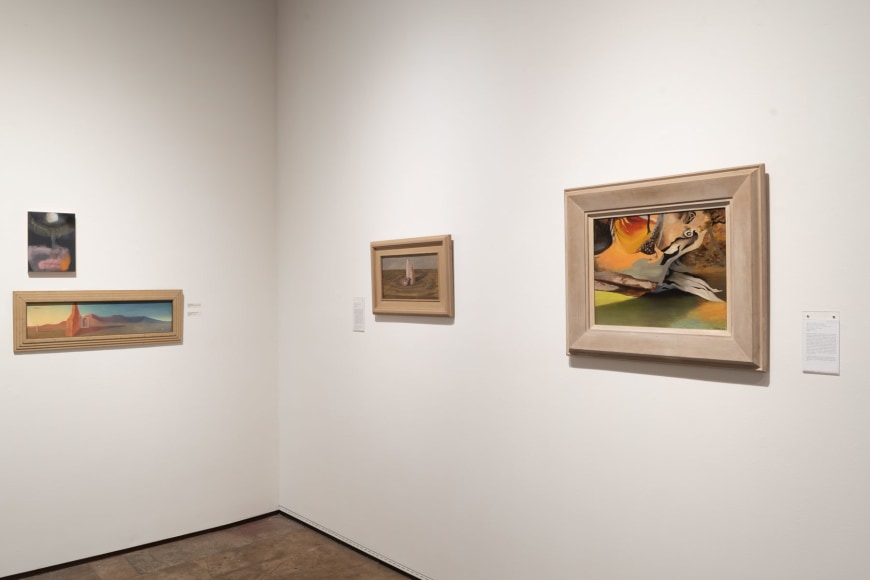 Surreal Women Installation shot 2023