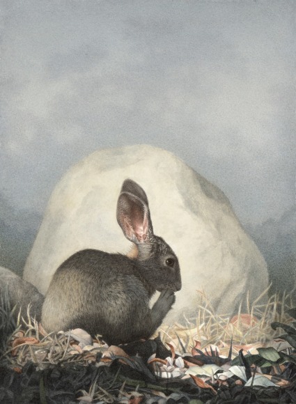 SUSAN MCDONNELL, Marsh Hare, 2019