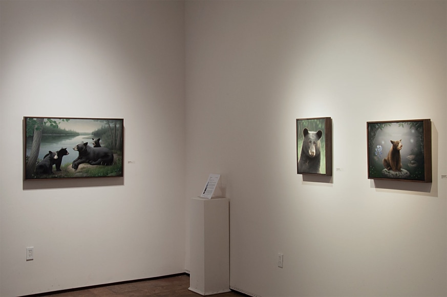 Contemporary Bear Area Artists Installation photograph, Susan McDonnell