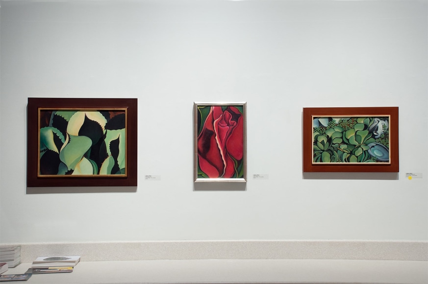 Installation shot of ANGELA PERKO: Just Another Pretty Picture with Shadowplay, Queen Rose, and She's in the Garden