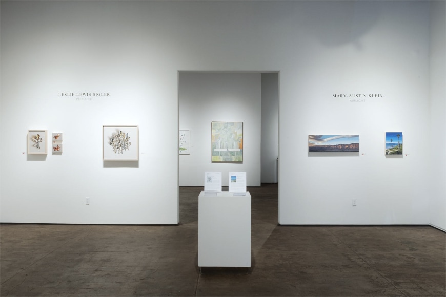 Installation photograph of MARY-AUSTIN KLEIN: Airlight (long view with Summer Salon in background)