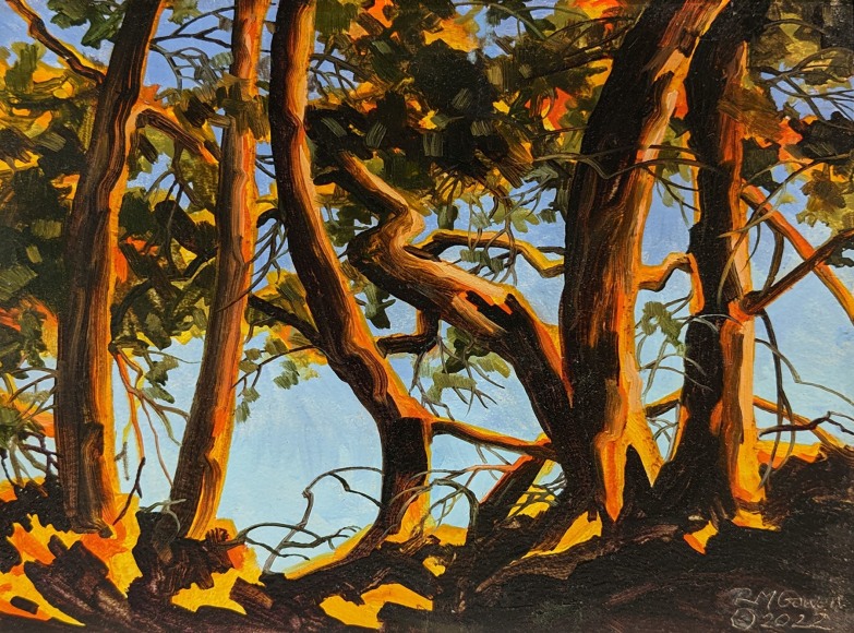 ROBIN  GOWEN , Edge of Wilcox, 2022