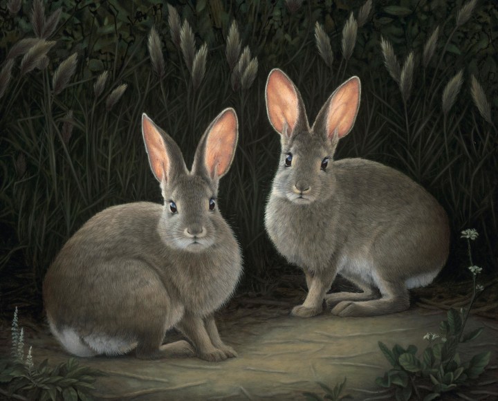 SUSAN MCDONNELL, Two Marsh Hares, 2021