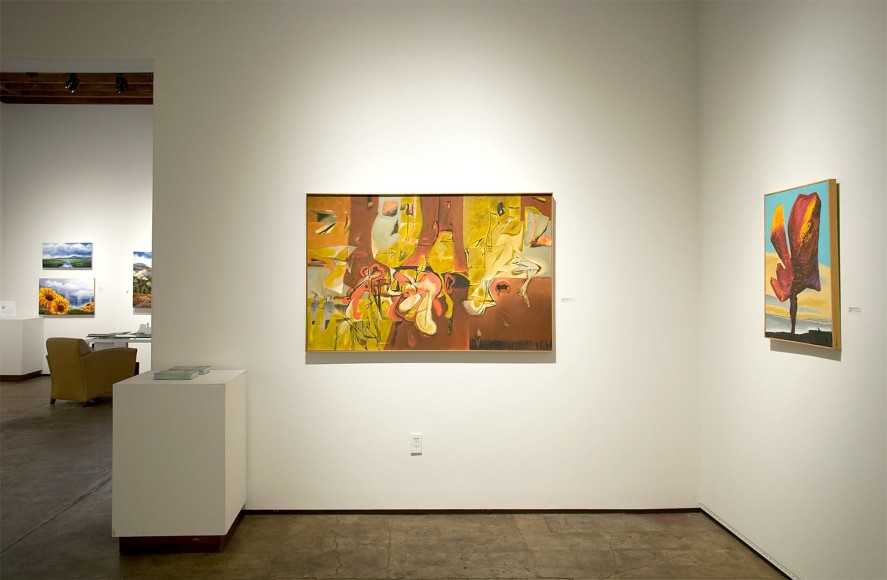 Installation photograph of MICHAEL DVORTCSAK: A Life&rsquo;s Work with Caravagesque, Di Lettore