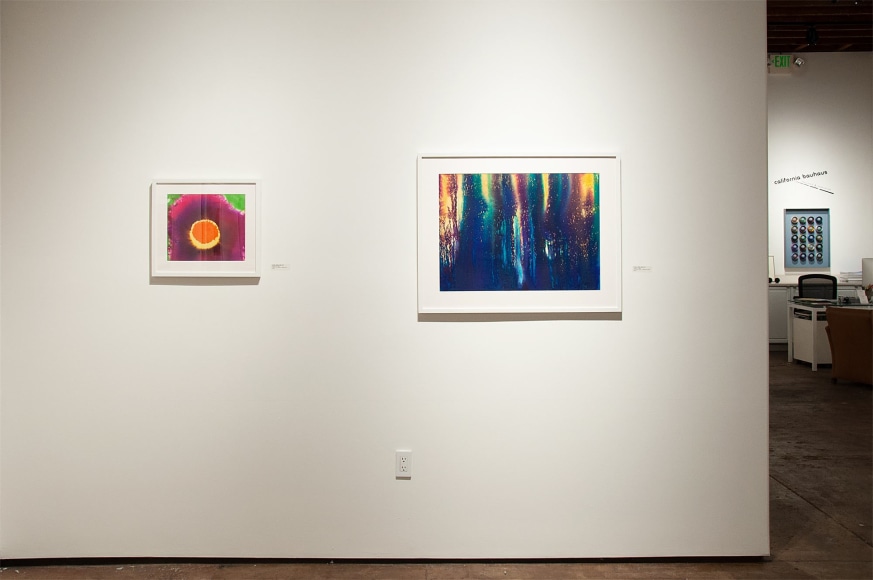 Installation photograph of THE INCREDIBLE TRUE STORY OF HARVEY LEEPA