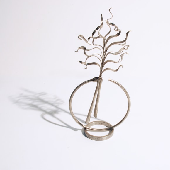 KEN BORTOLAZZO (b. 1947), Plant Study IV, 2008