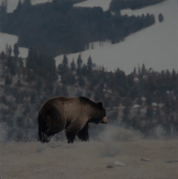 Pamela Kendall Schiffer, Early Spring in Yellowstone, 2018